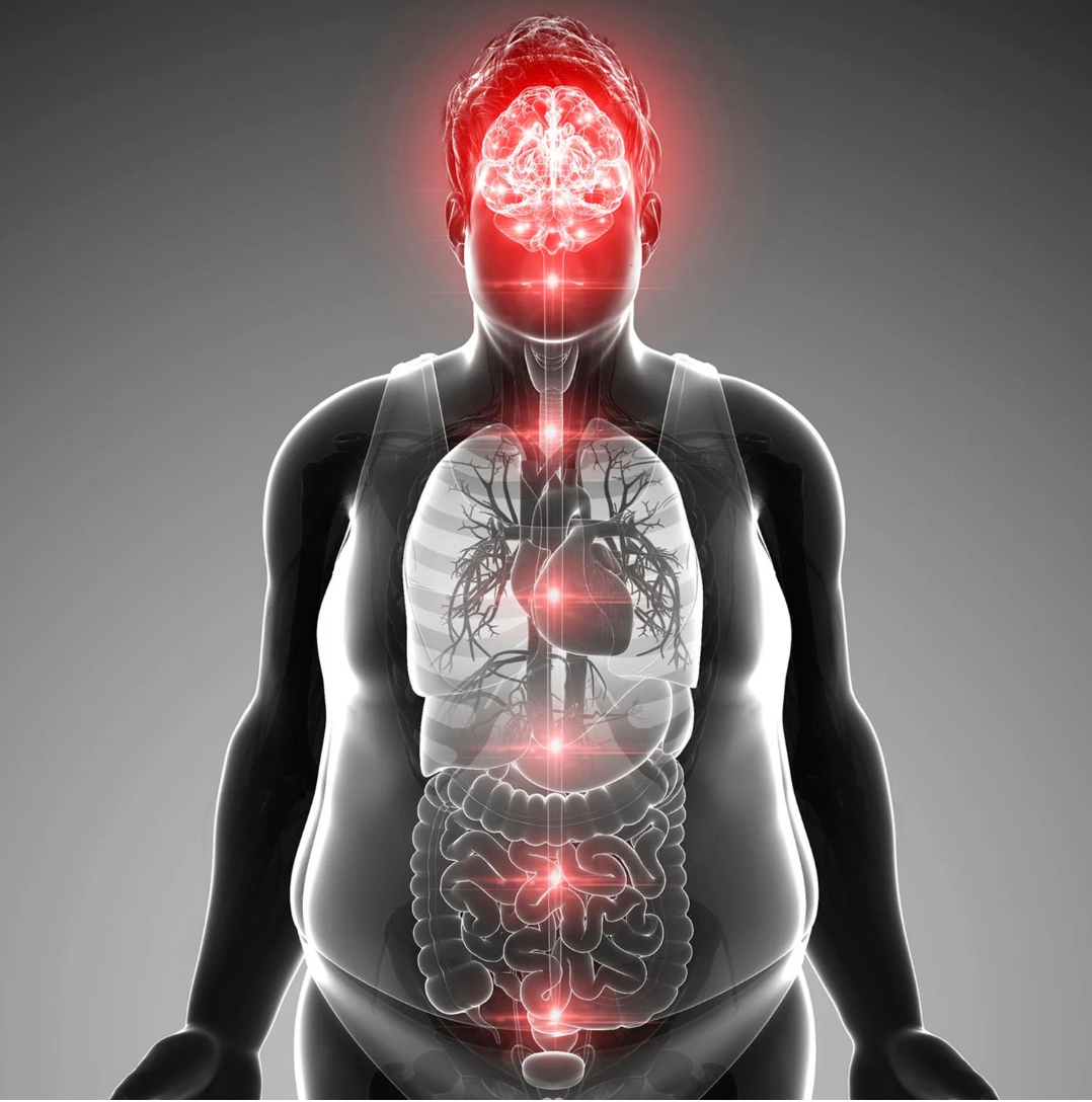 Gut-Brain Connection