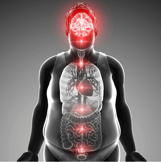 Gut-Brain Connection