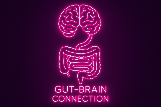 The secret to human intelligence? It might be in our gut