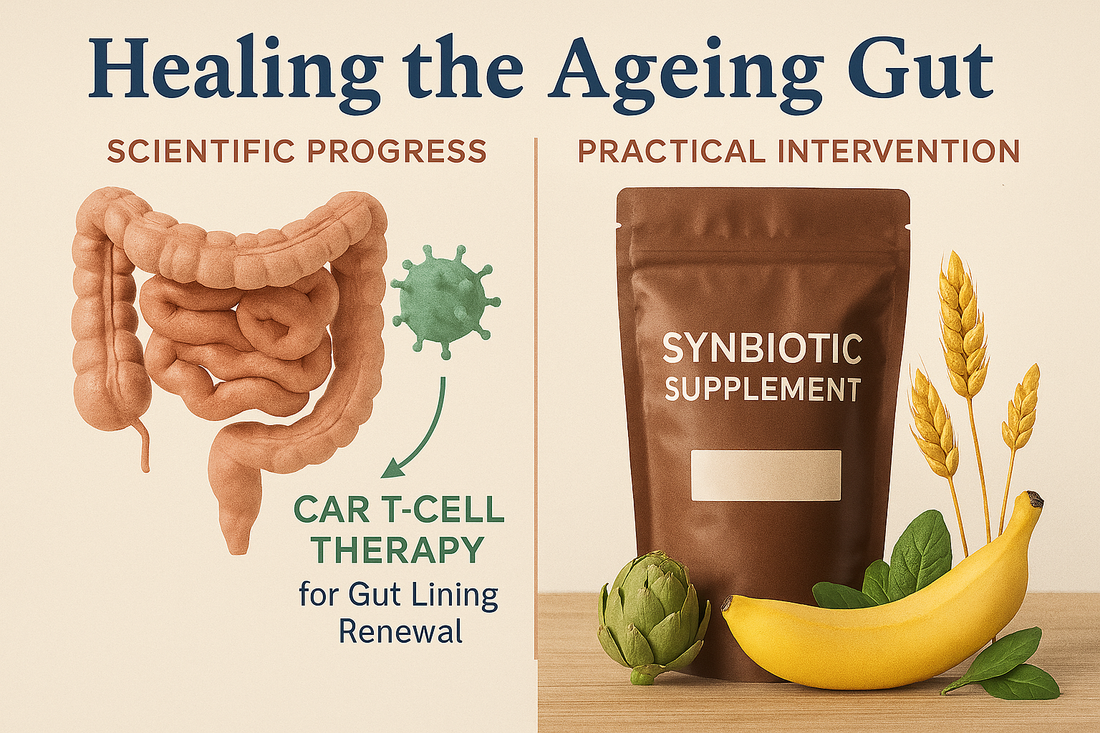 Healing the Ageing Gut: How Cutting‑Edge Science and Everyday Nutrition Can Protect Your Gut Lining for Life